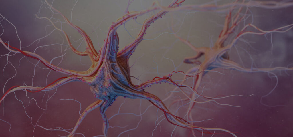 Most Common Neurosurgery Procedures